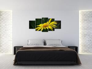 Obraz žltého kvetu (Obraz 150x70cm)