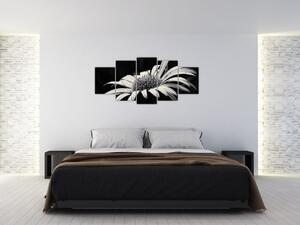 Čiernobiely obraz kvetu (Obraz 150x70cm)