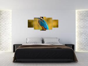 Obraz - farebný vták (Obraz 150x70cm)