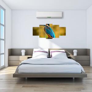 Obraz - farebný vták (Obraz 150x70cm)