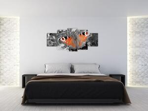 Oranžový motýľ - obraz (Obraz 150x70cm)