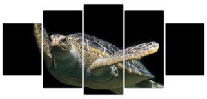Obraz plávajúce korytnačky (Obraz 150x70cm)