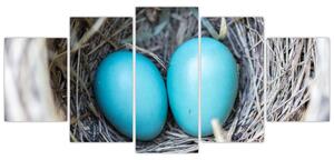 Obraz modrých vajíčok v hniezde (Obraz 150x70cm)