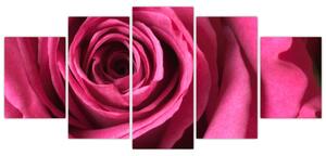 Obraz ružové ruže (Obraz 150x70cm)