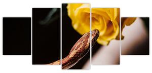 Obraz hada so žltou ružou (Obraz 150x70cm)