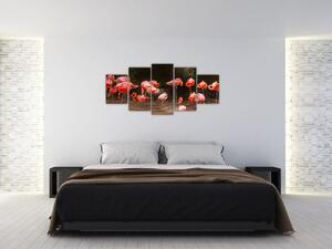 Obraz plameniakov (Obraz 150x70cm)