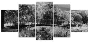 Čiernobiely most - obraz (Obraz 150x70cm)