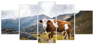 Obraz kravy na lúke (Obraz 150x70cm)