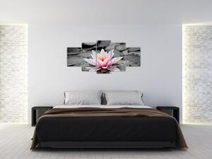 Obraz kvitnúceho lekna (Obraz 150x70cm)