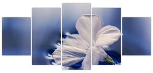 Obraz bieleho kvetu vo vode (Obraz 150x70cm)