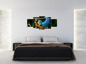 Obraz papagájov na lane (Obraz 150x70cm)