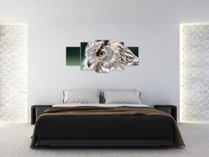Vyzerajúce sova - obraz (Obraz 150x70cm)
