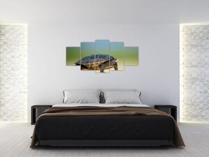 Obraz korytnačky - moderné obrazy (Obraz 150x70cm)