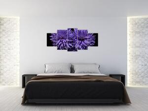Obraz fialových kvetov (Obraz 150x70cm)