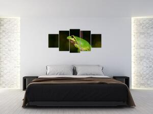 Obraz žaby (Obraz 150x70cm)