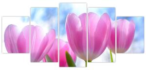 Obraz ružových tulipánov (Obraz 150x70cm)