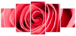 Obraz červené ruže (Obraz 150x70cm)