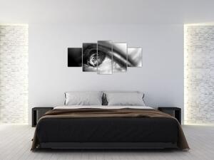 Čiernobiely obraz - detail oka (Obraz 150x70cm)