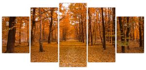 Obraz lesné cesty (Obraz 150x70cm)
