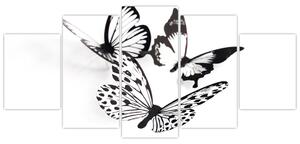 Obraz motýľov (Obraz 150x70cm)