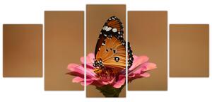 Obraz motýľa (Obraz 150x70cm)