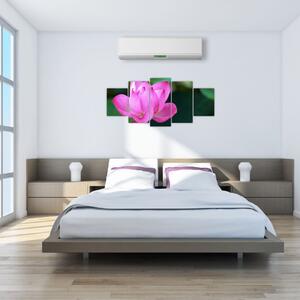 Obraz kvetu (Obraz 150x70cm)