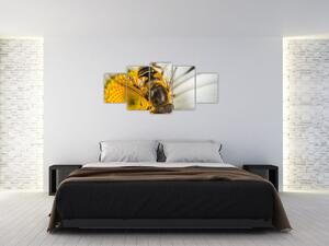 Obraz - detail včely (Obraz 150x70cm)