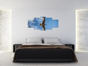 Obraz letiaceho vtáka (Obraz 150x70cm)