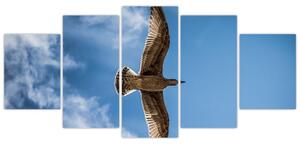 Obraz letiaceho vtáka (Obraz 150x70cm)