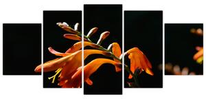 Obraz detailu kvety (Obraz 150x70cm)