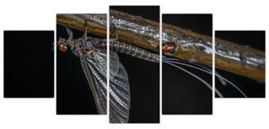 Obraz - hmyz (Obraz 150x70cm)