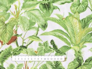 Biante Bavlnená obliečka na vankúš Sandra SA-297 Zelené izbové rastliny na bielom 30 x 50 cm