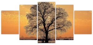 Obraz sa stromom (Obraz 150x70cm)