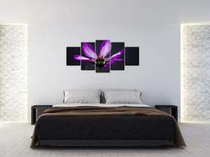Obraz - kvety (Obraz 150x70cm)