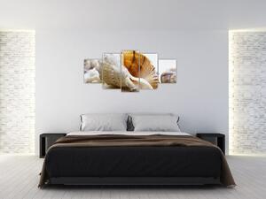 Obraz s mušlí (Obraz 150x70cm)