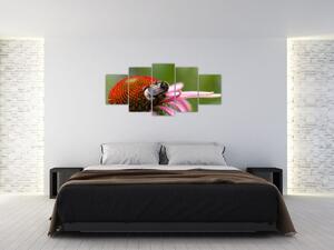 Obraz včely na kvete (Obraz 150x70cm)