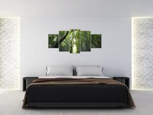 Obraz lesov (Obraz 150x70cm)