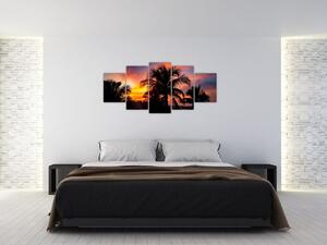 Obraz palmy na stenu (Obraz 150x70cm)