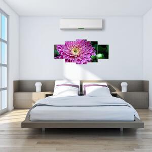 Obraz kvetu na stenu (Obraz 150x70cm)
