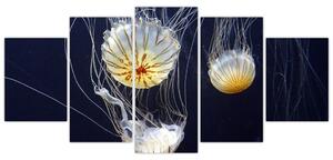 Obraz - medúzy (Obraz 150x70cm)