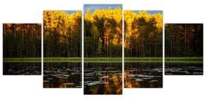 Obraz - jesenná krajina (Obraz 150x70cm)
