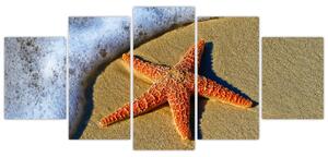 Obraz s morskou hviezdou (Obraz 150x70cm)