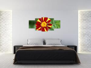 Obraz kvety na stenu (Obraz 150x70cm)