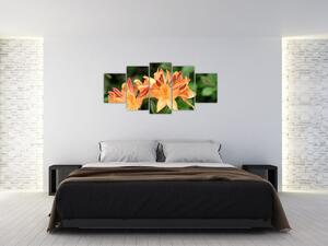 Oranžové kvety (Obraz 150x70cm)