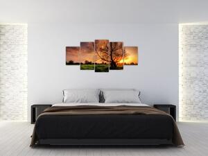 Západ slnka, obrazy (Obraz 150x70cm)