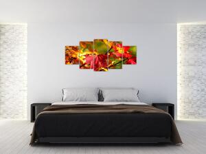 Jesenné lístie, obraz (Obraz 150x70cm)