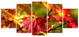 Jesenné lístie, obraz (Obraz 150x70cm)