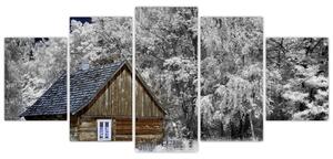 Chaloupka v zime, obrazy (Obraz 150x70cm)