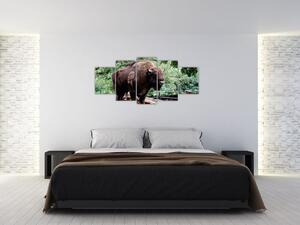 Obraz s americkým bizónom (Obraz 150x70cm)