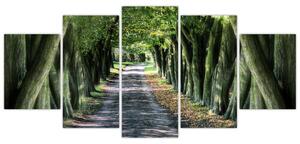 Údolie stromov, obrazy (Obraz 150x70cm)